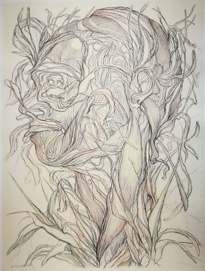 Tony Ameneiro 'Flowering Lily Head' image 0