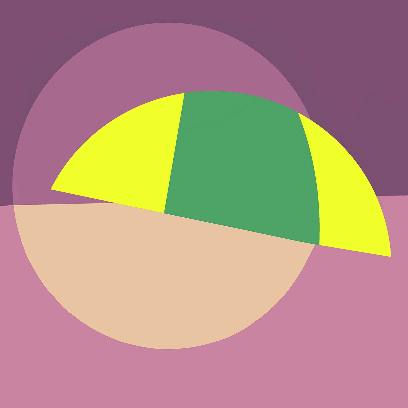 Philippa Riddiford 'What About That!' image 0