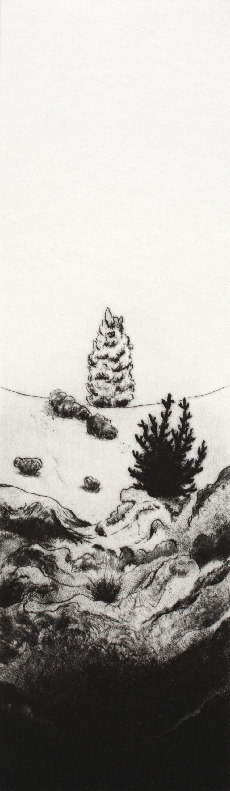 Kyla Cresswell 'The Wildlings' image 0