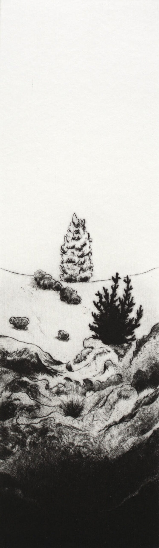 Kyla Cresswell 'The Wildlings' image 0