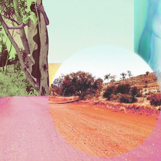 May Bluebell 'I like it up here' image 0