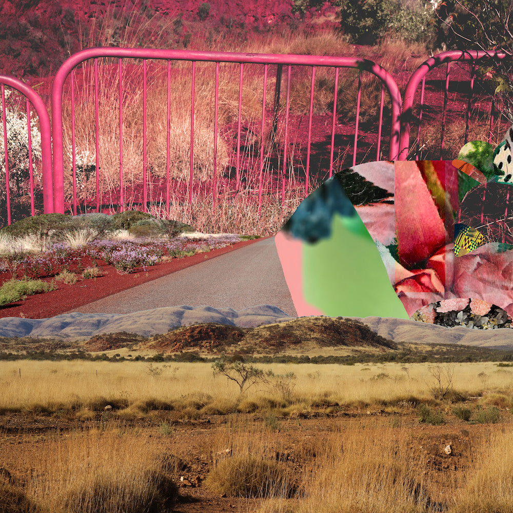 May Bluebell 'Pink Picket' image 0