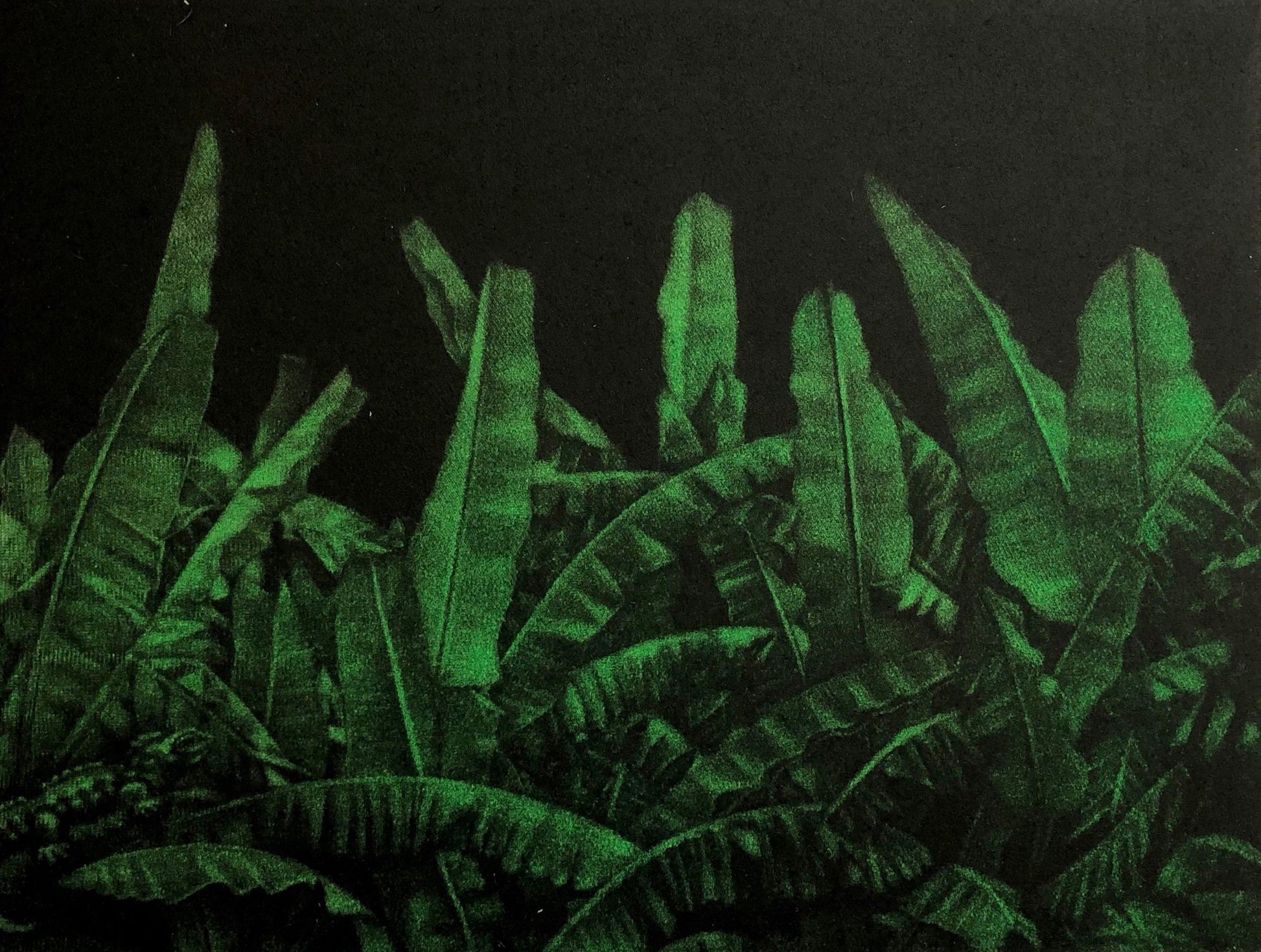 Nan Mulder 'The Wind in the Banana Leaves' image 0