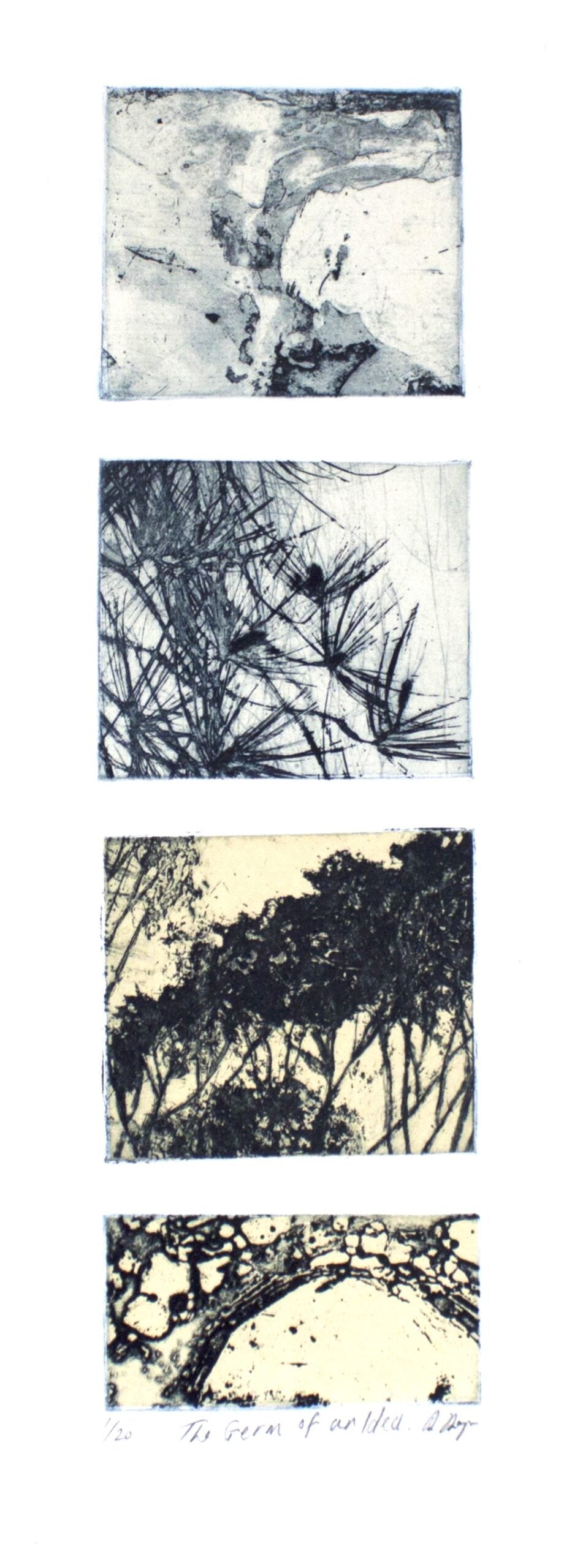 Robyn Rayner 'A Germ of an Idea' image 0