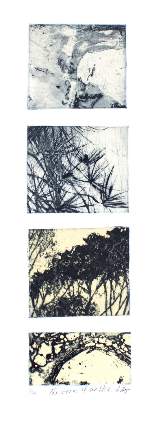 Robyn Rayner 'A Germ of an Idea' image 0