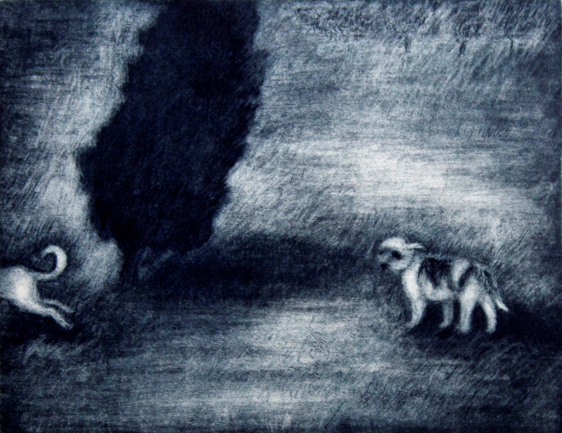 Robyn Rayner 'Old Girl' image 0