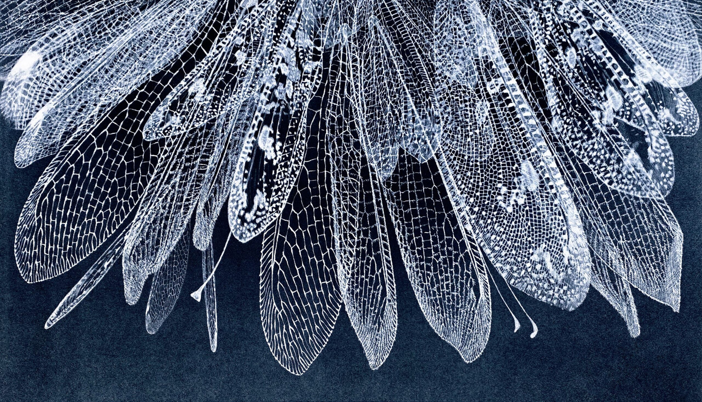 Lana De Jager 'Antlion' image 0