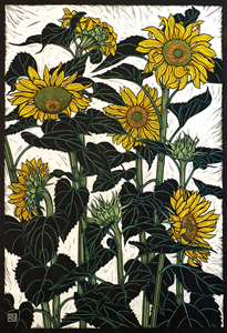 Rachel Newling 'Sunflowers Newport'