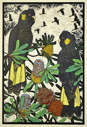 Rachel Newling 'Yellow Tailed Black Cockatoo & Banksia'