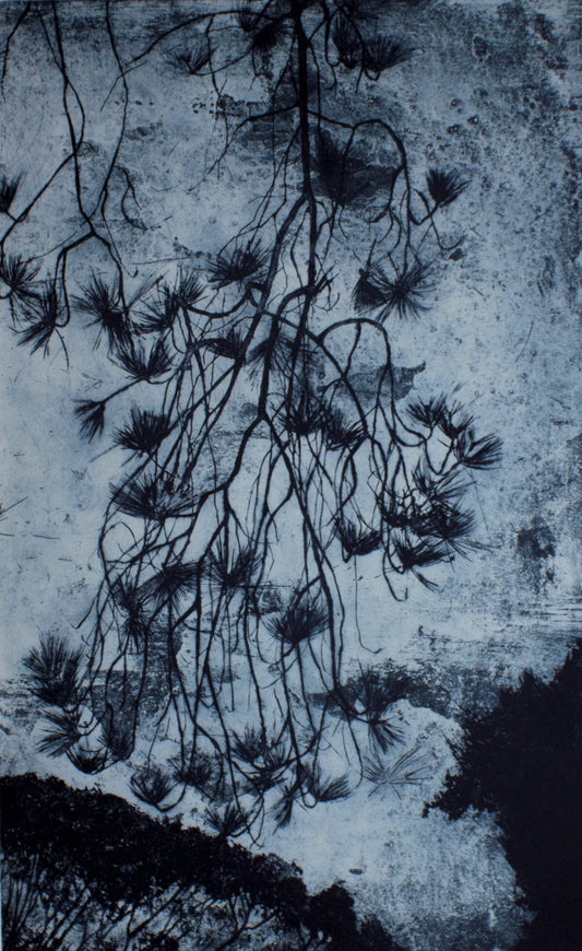 Robyn Rayner 'New Works'