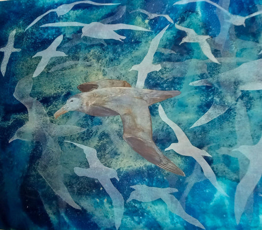 Kathy Reilly 'A Sub Antarctic Odyssey - Prints inspired by the Southern Ocean'