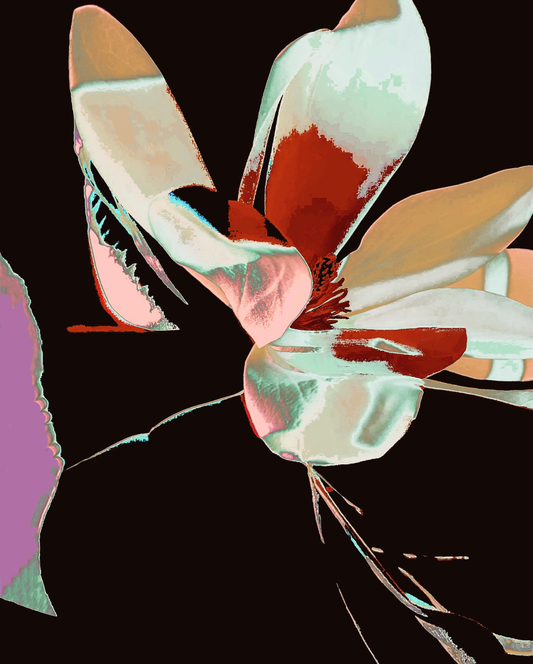 Penelope Cato Exhibition