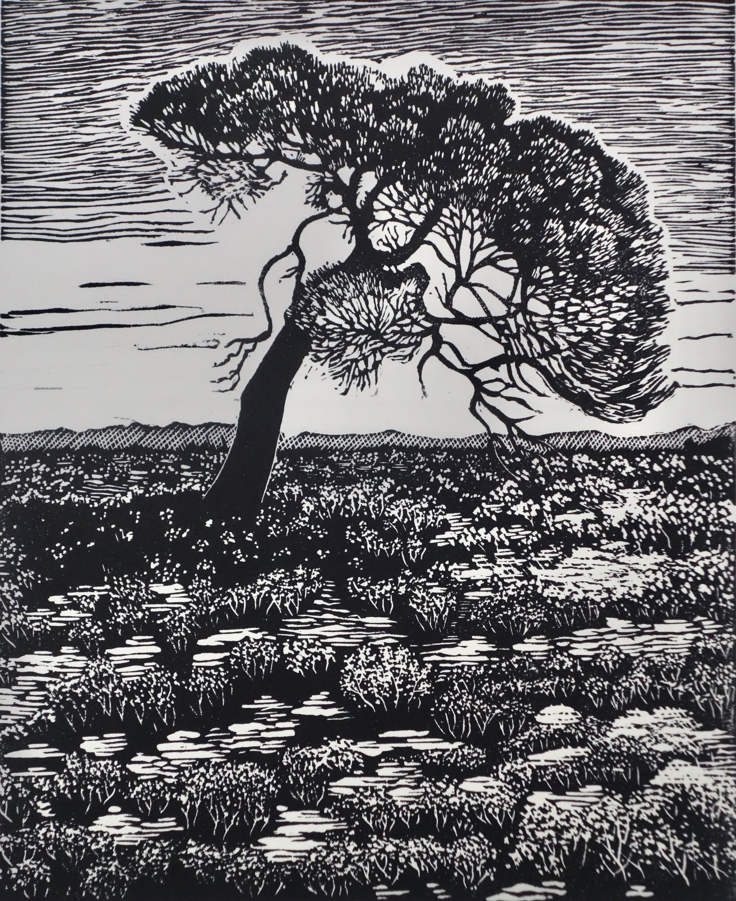 Chris Lawry