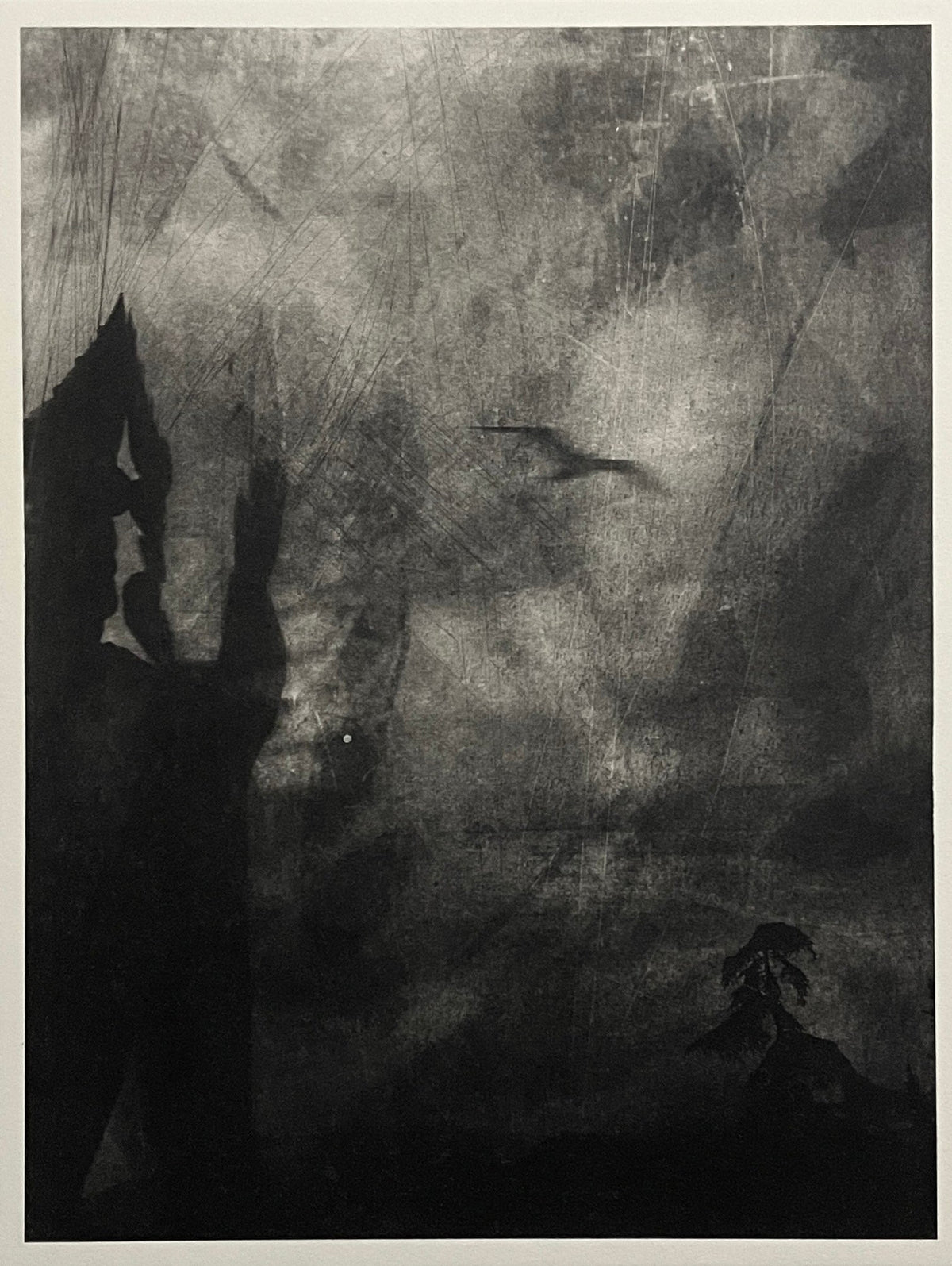 Angela Coombs Matthews