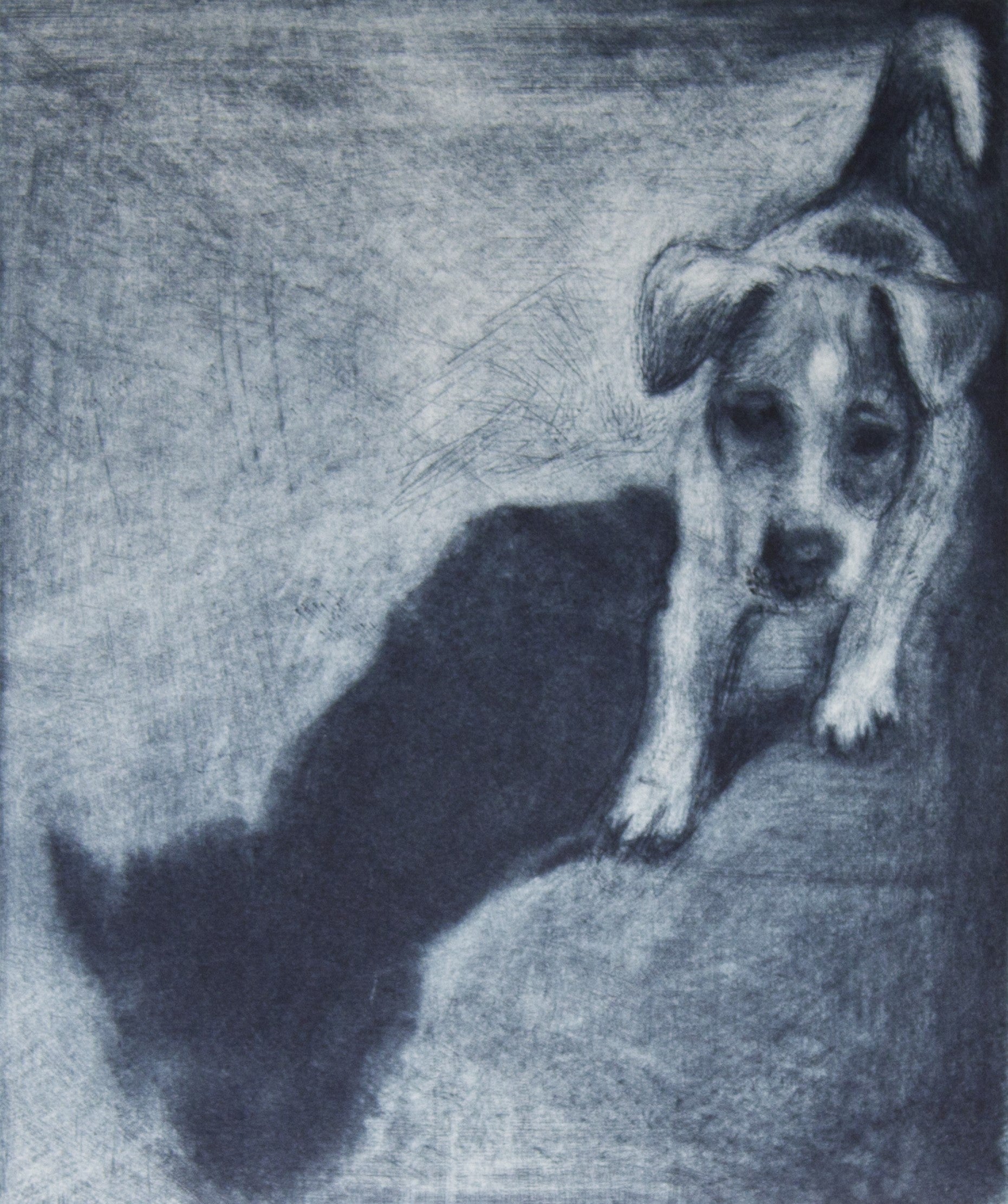 Robyn Rayner 'Pup' image 0