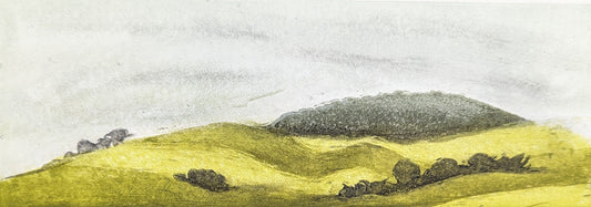 Carolyn Graham 'Forested Hill' image 0