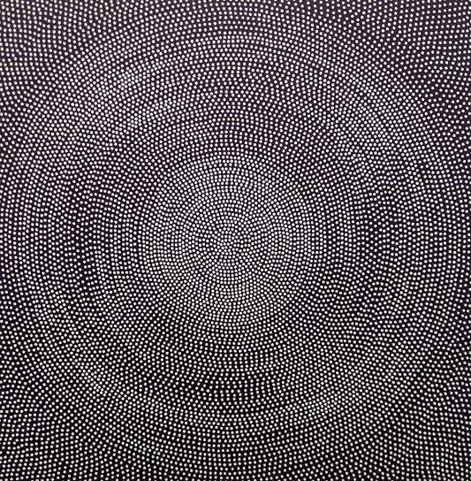 David Nixon 'Spin' image 0