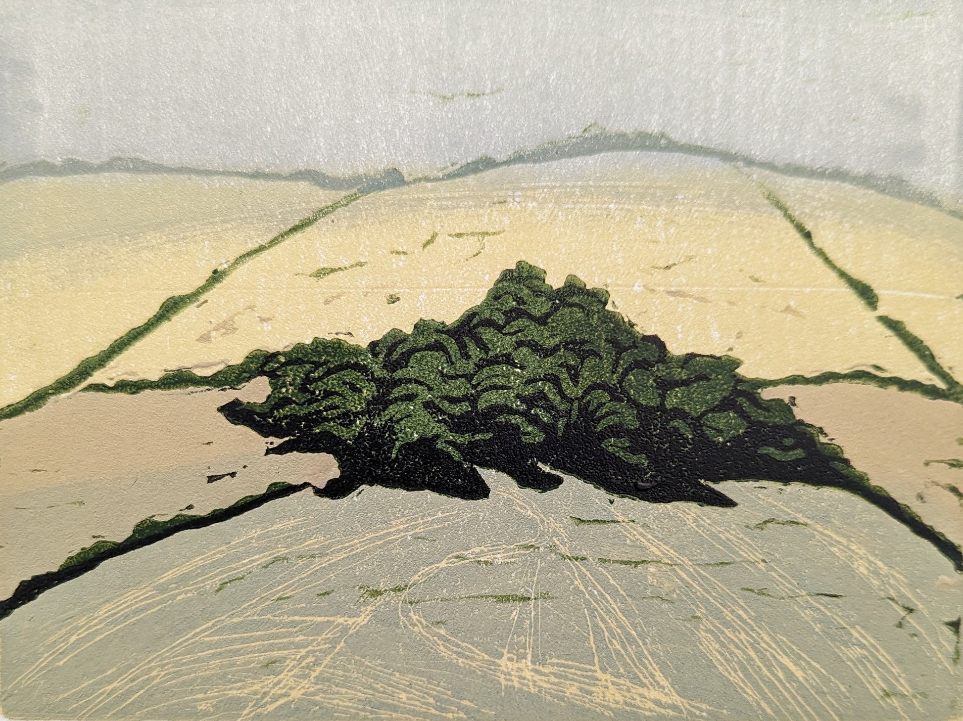 Carolyn Graham 'Salisbury Plain' image 0
