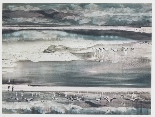 Silvi Glattauer 'Renegotiating the Salt Flats' image 0