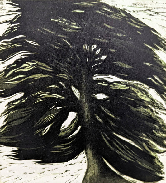Carolyn Graham 'Hawthorn Tree' image 0