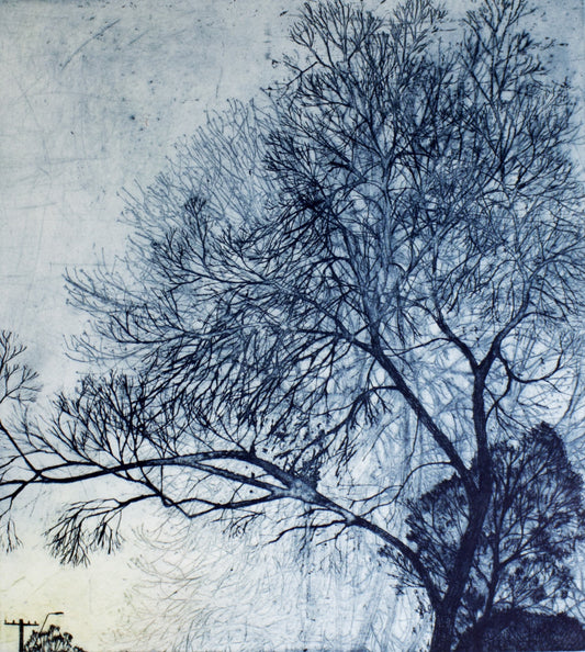 Robyn Rayner 'Up the Street' image 0