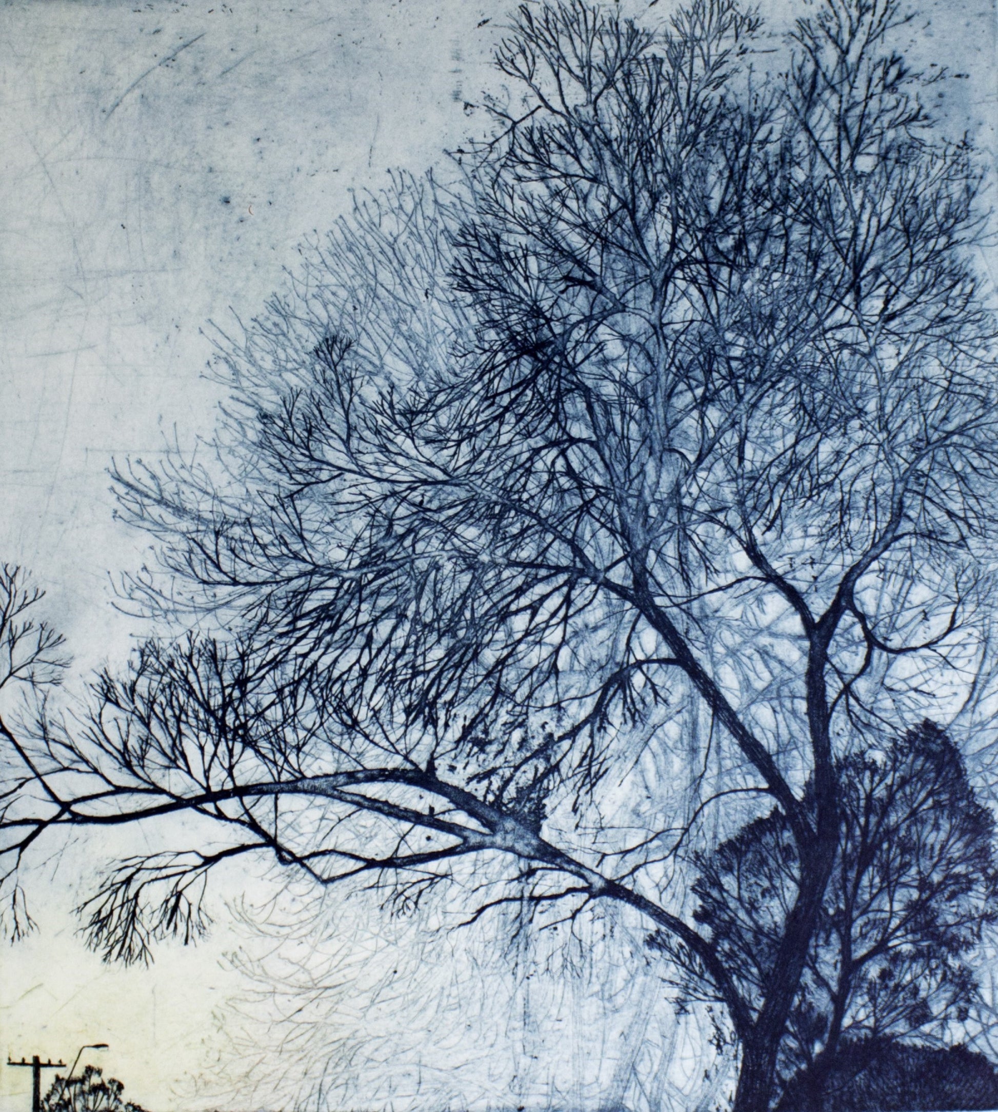 Robyn Rayner 'Up the Street' image 0