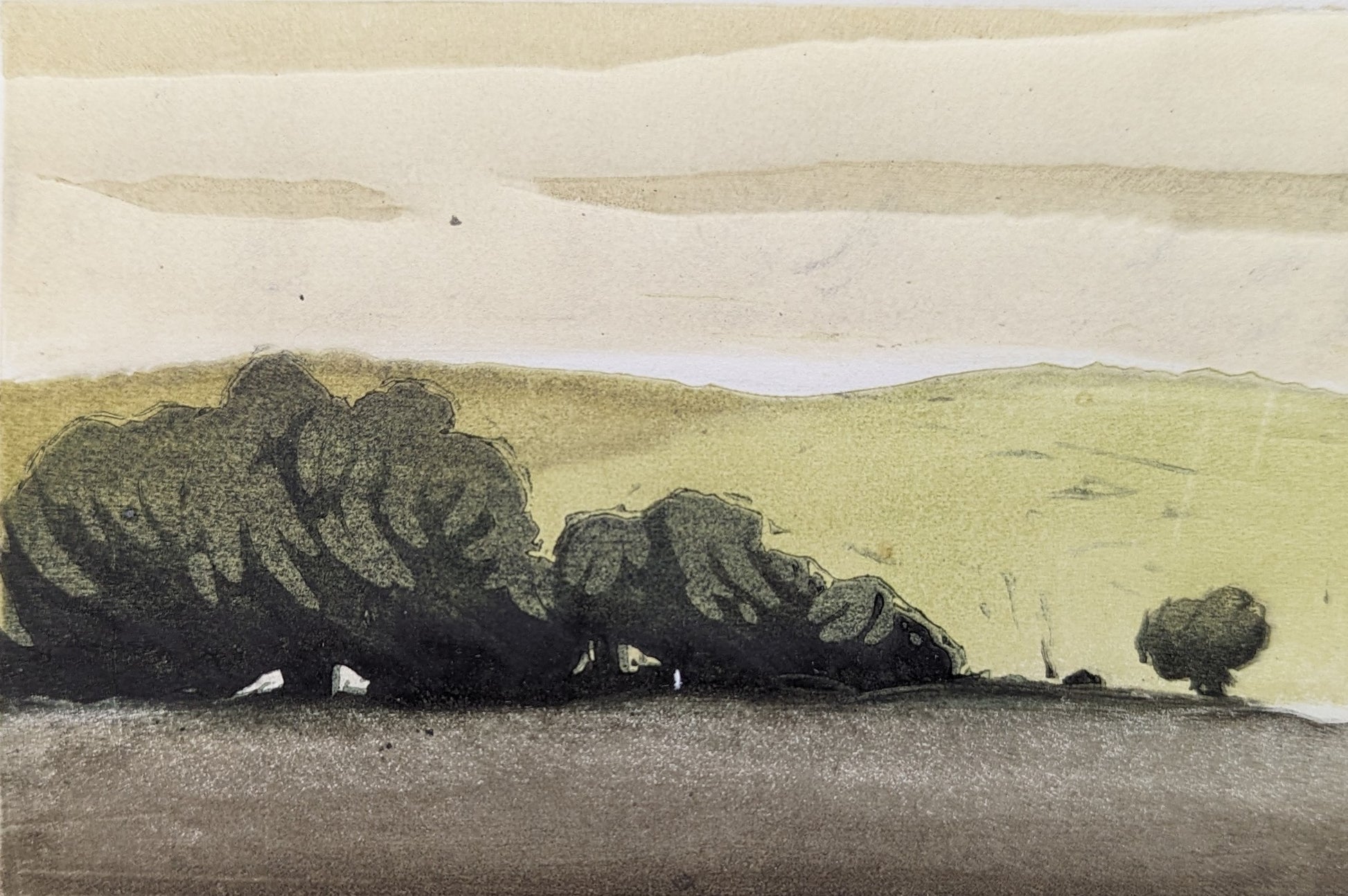 Carolyn Graham 'Landscape II' image 0