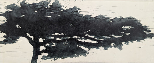 Carolyn Graham 'Fitzroy Gardens' image 0