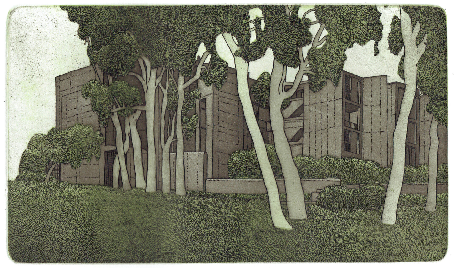Damon Kowarsky 'Salk' image 0