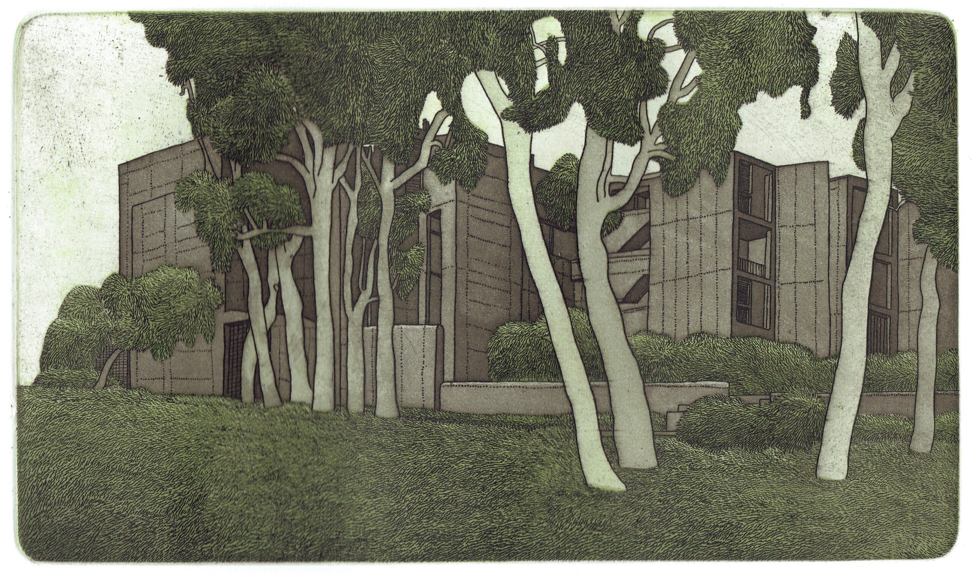 Damon Kowarsky 'Salk' image 0