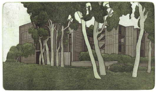 Damon Kowarsky 'Salk' image 0