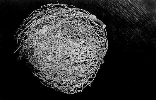 Lana De Jager 'Rolling Along' image 0
