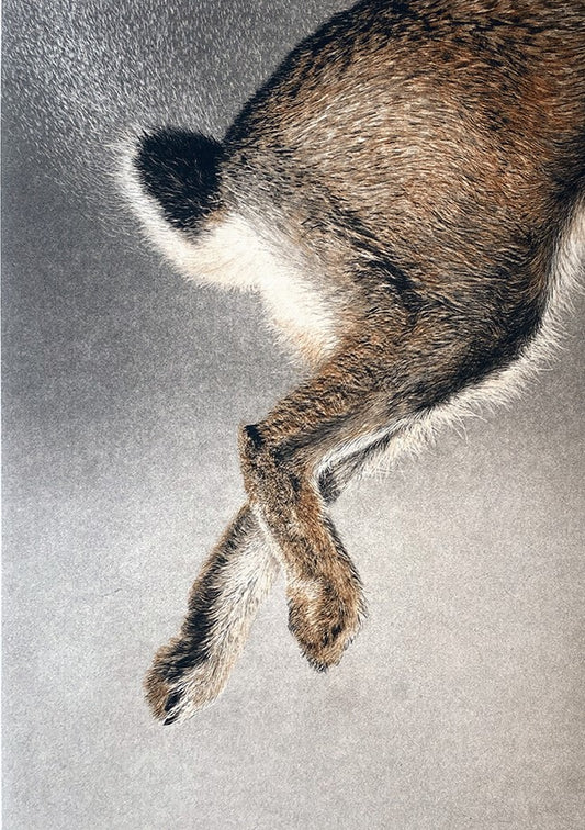Lana De Jager 'Rabbit' image 0