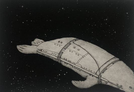 Damon Kowarsky & Kyoko Imazu 'Space Seal' image 0