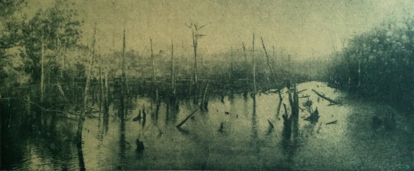 Justin McShane 'New Waters' image 0