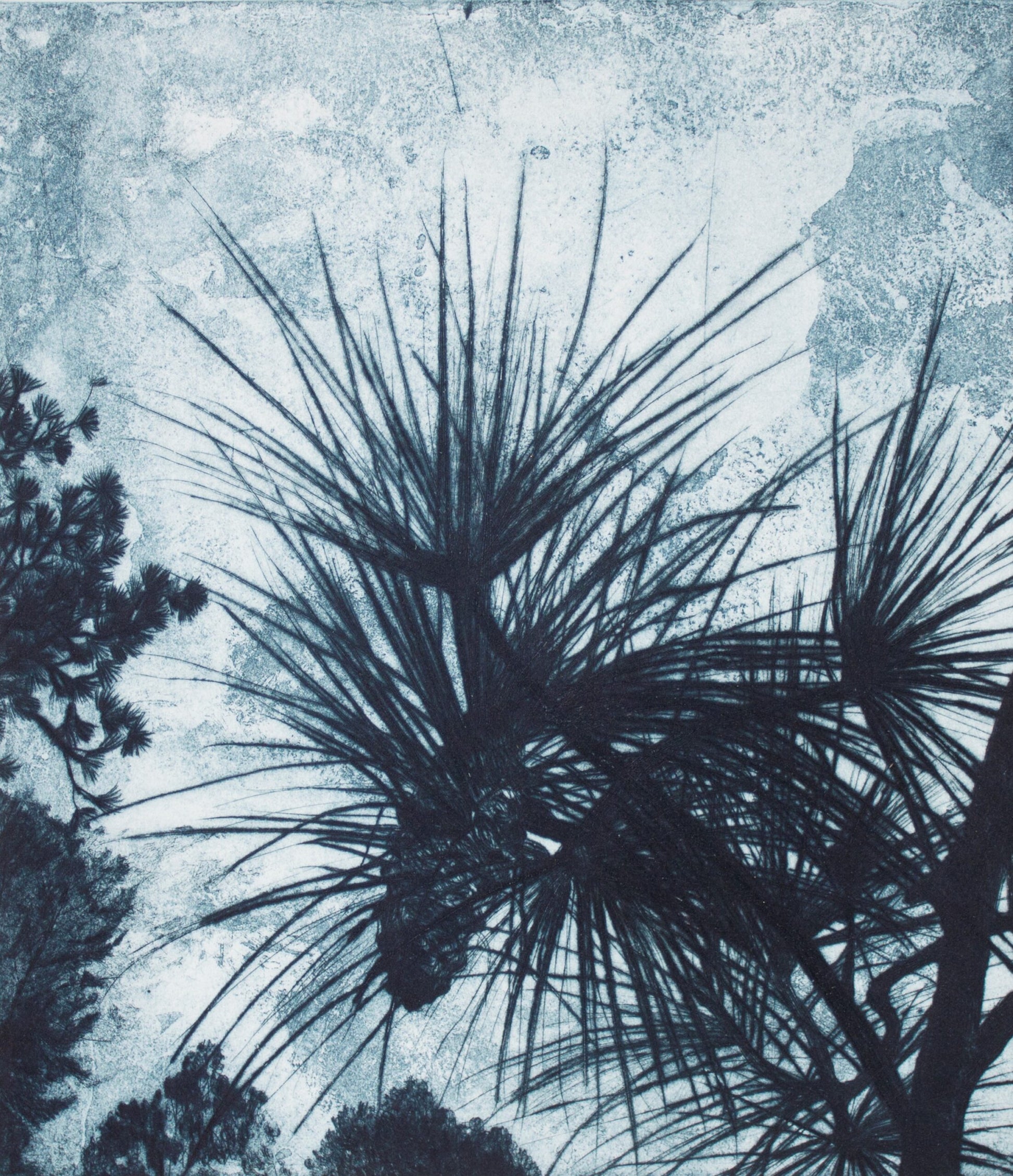 Robyn Rayner 'Pricks' image 0