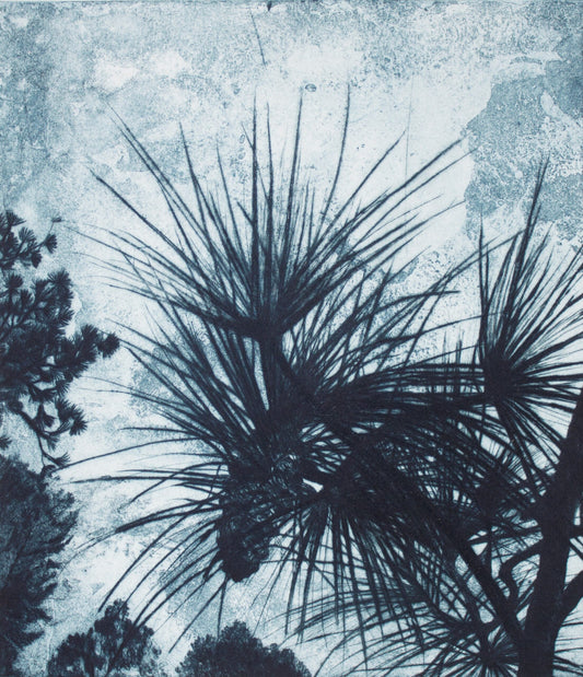 Robyn Rayner 'Pricks' image 0