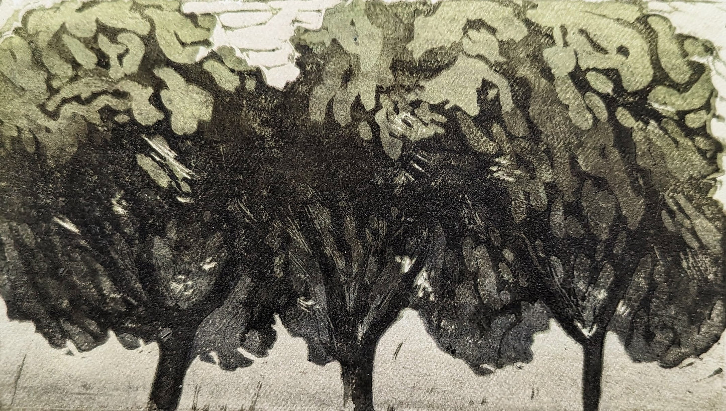 Carolyn Graham 'Trees in the Park' image 0