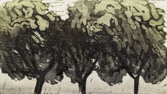 Carolyn Graham 'Trees in the Park' image 0