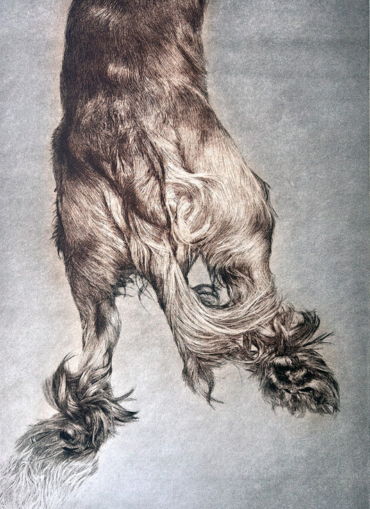 Lana De Jager 'Spaniel' image 0