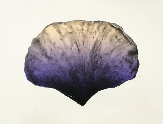 Jim Pavlidis 'Into the Light' image 0