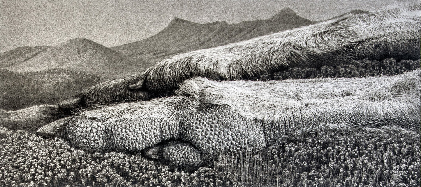 Lana De Jager 'Kangaroo' image 0
