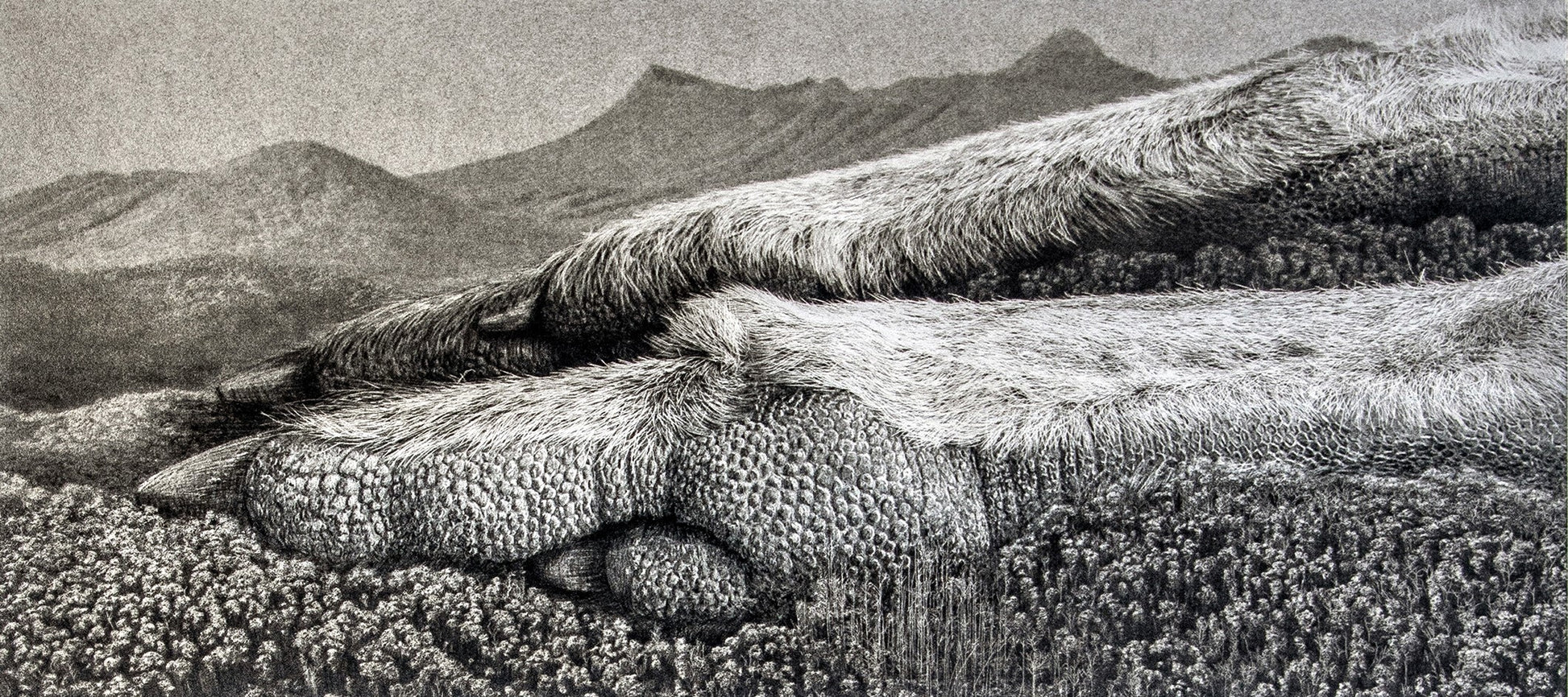Lana De Jager 'Kangaroo' image 0