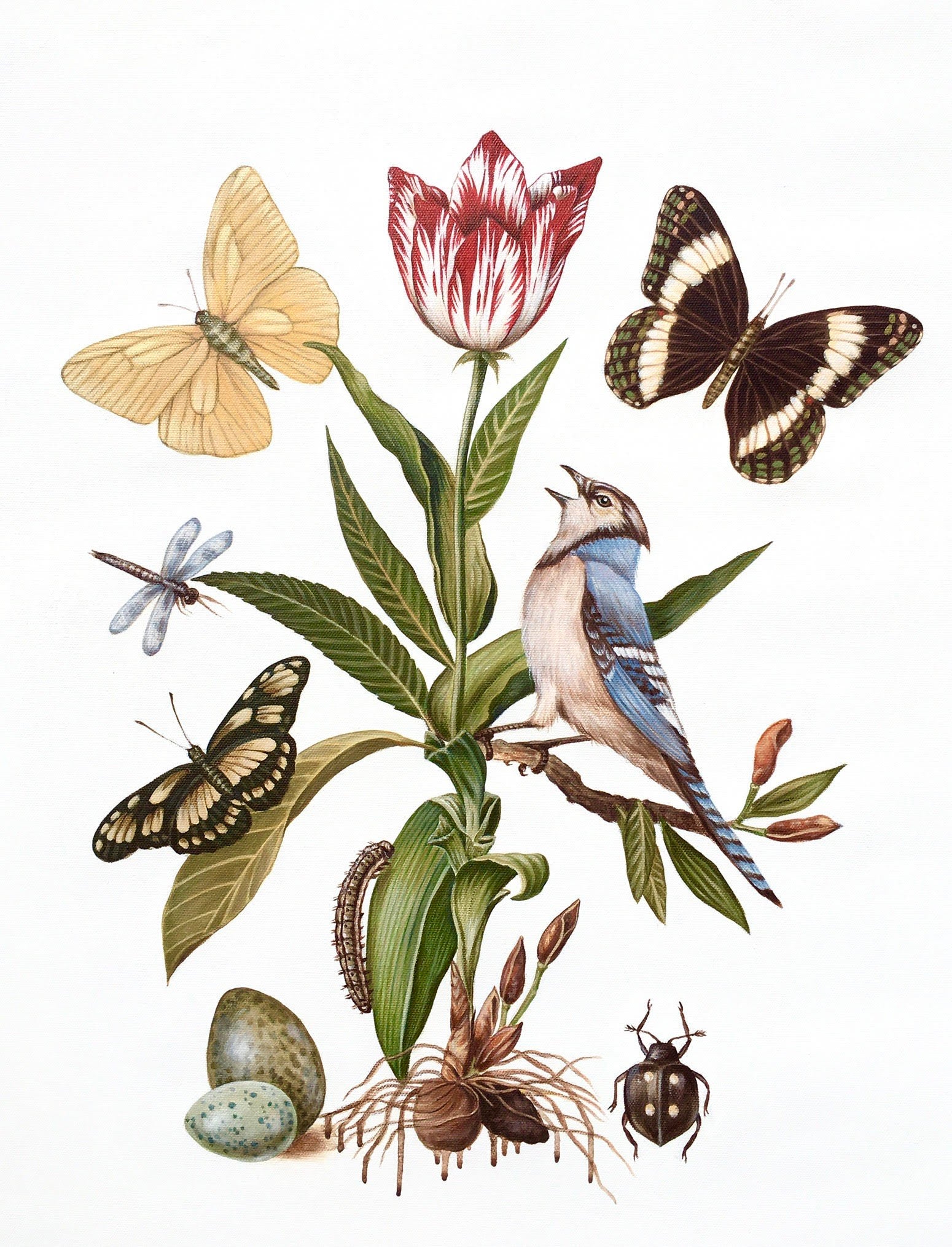Sarah Wolf 'Butterfly Effect' image 0