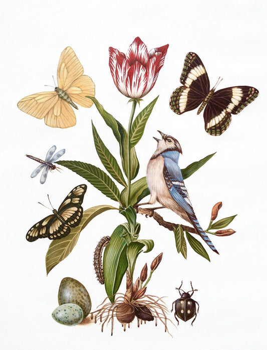 Sarah Wolf 'Butterfly Effect' image 0