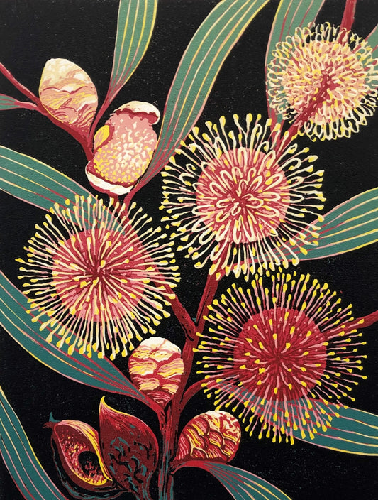Anna Curtis 'Native Beauties - Hakea' image 0