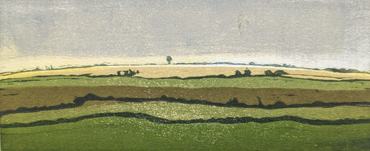 Carolyn Graham 'Fields Near Sherborne' image 0