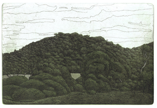 Damon Kowarsky 'Tower Hill II' image 0