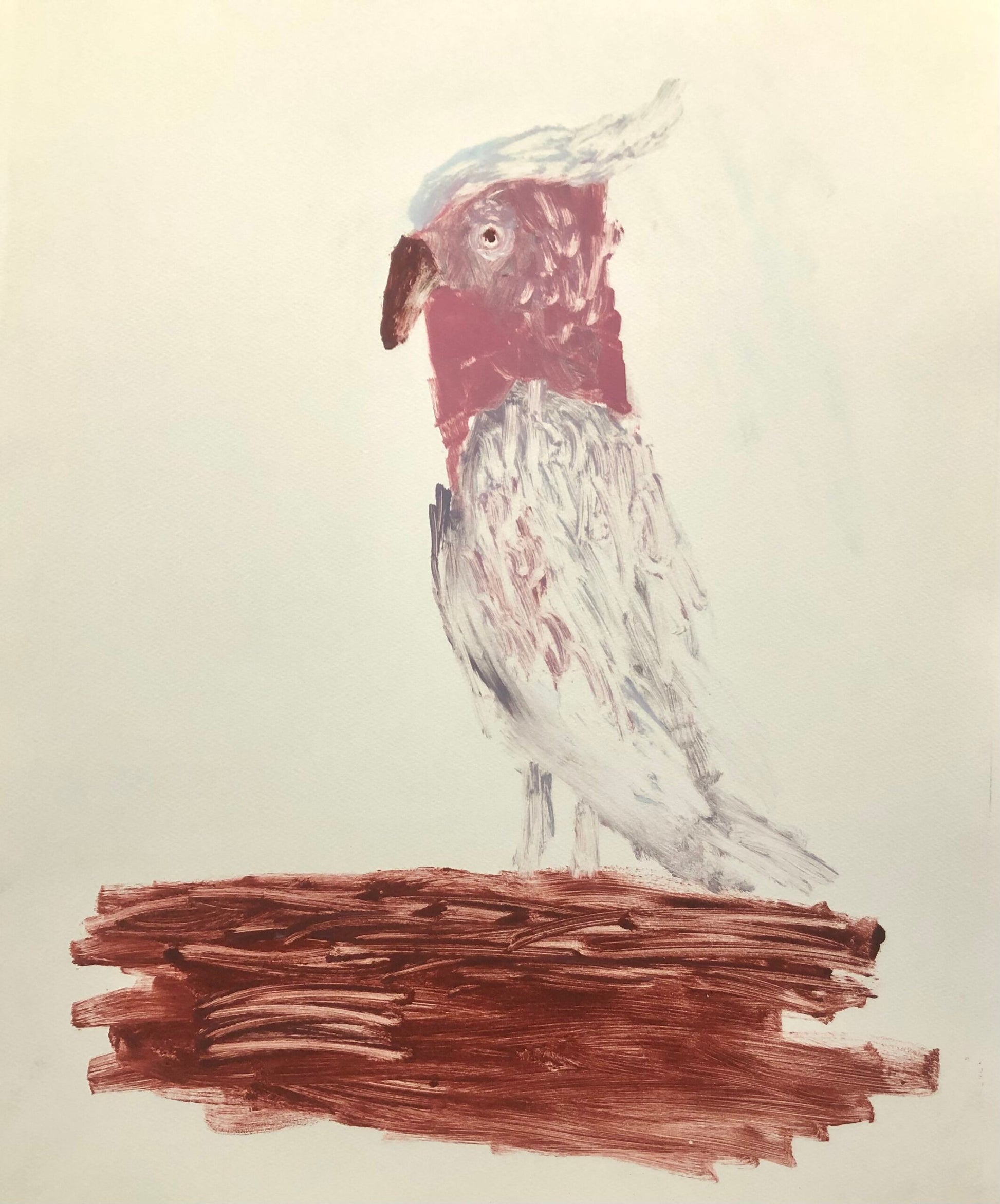 Kim Barter 'Scout' image 0