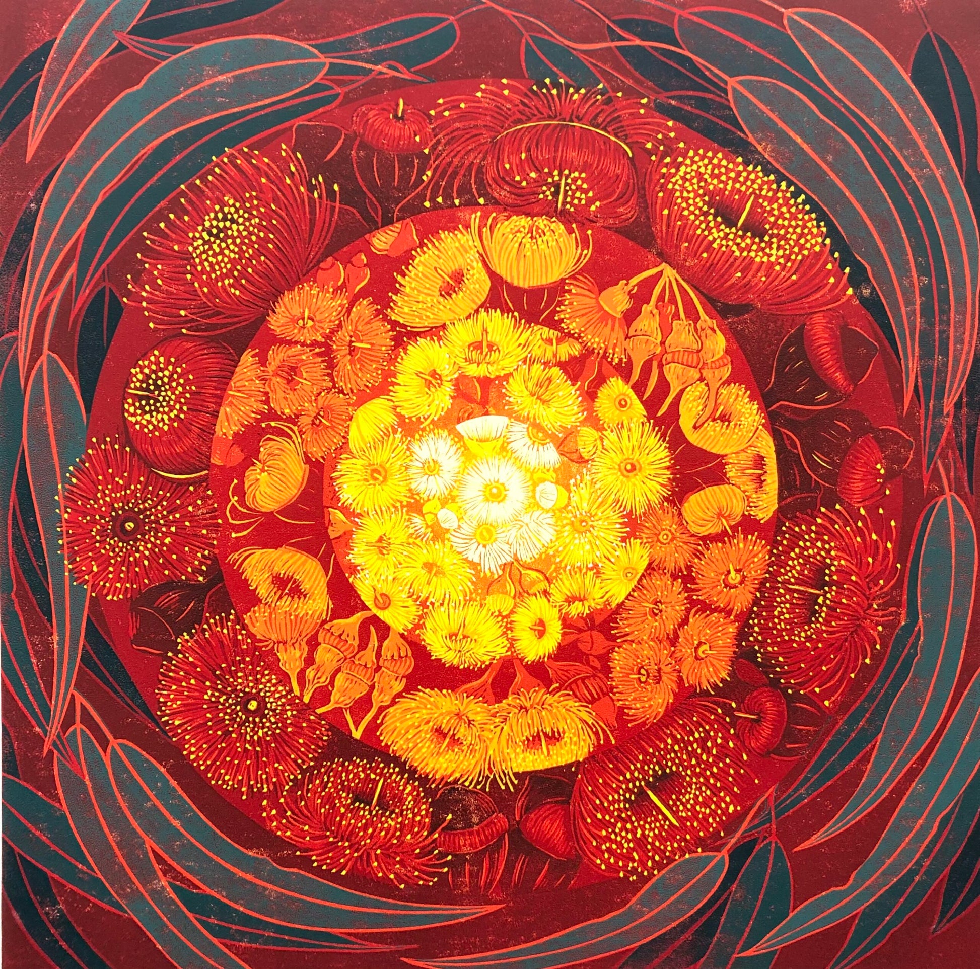 Anna Curtis 'Eucalyptus Kaleidoscope' image 0